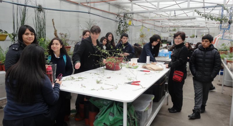 Escuela de Arquitectura del Paisaje seguirá impartiendo talleres de flora nativa a escolares de Lo Barnechea