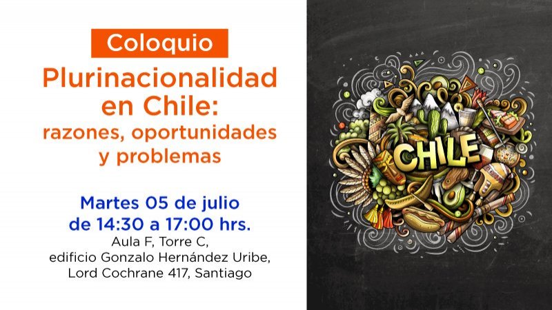 Plurinacionalidad en Chile: razones, oportunidades y problemas