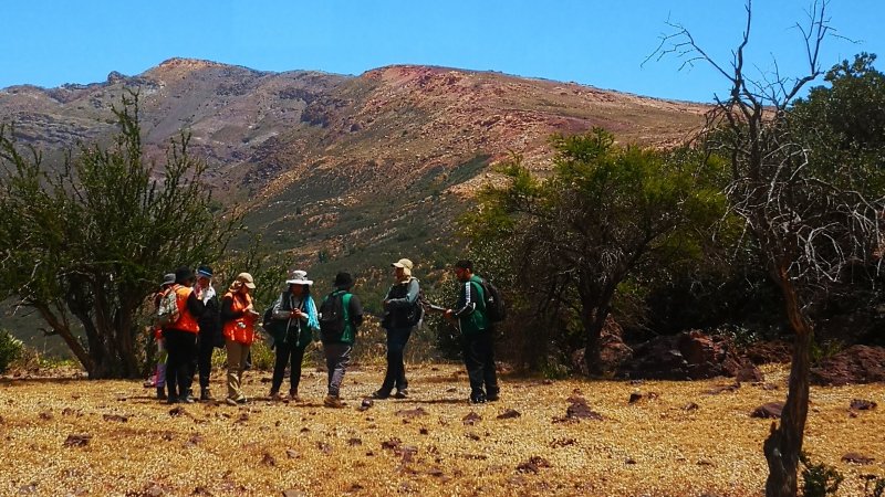 Estudiantes de Geología hicieron visita al Estero El Pedernal con un enfoque en minería verde
