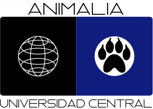 Imagen foto_00000006