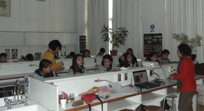 Escolares de Colegio Farellones aprendieron sobre flora nativa en taller dictado por el vivero Rayún