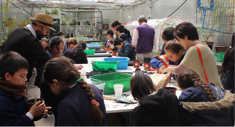 Escuela de Arquitectura del Paisaje dictó taller de flora nativa a escolares del Colegio San Esteban Mártir