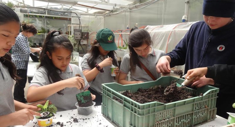 Escolares del colegio Betterland School aprendieron sobre vegetación nativa en taller dictado por la Escuela de Arquitectura del Paisaje