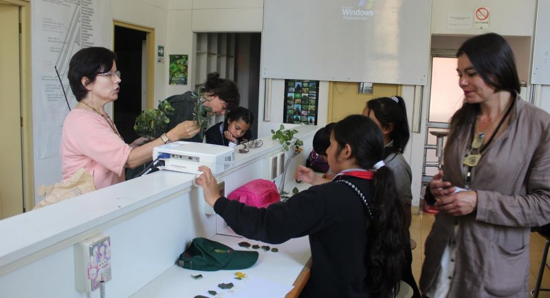 Escuela de Arquitectura del Paisaje impartirá cursos sobre áreas verdes y plantas a escolares de Lo Barnechea