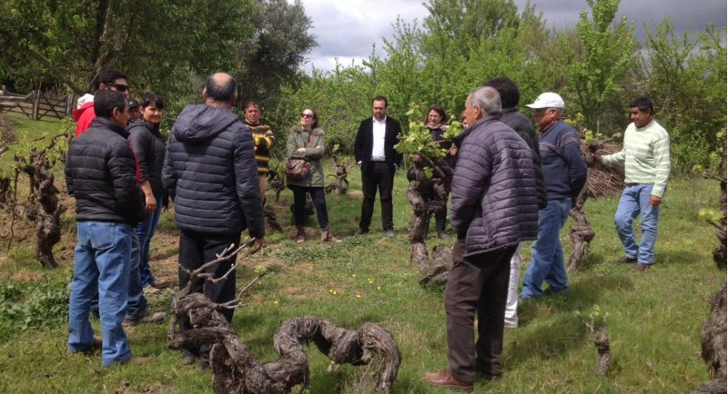 IPT organiza visita al Ramal Talca Constitución para socios de la Red del Vino de Colchagua