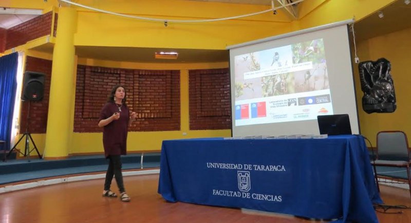 La biodiversidad de aves en Arica abordó seminario organizado por la FAUP junto a UTA y UNORCH