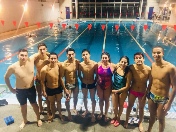 Selección de Natación participará en Copa Arena 2018