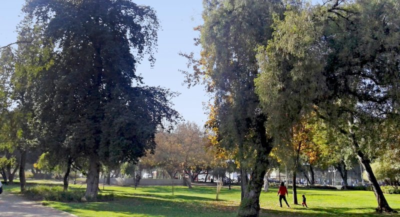 Escuela de Arquitectura del Paisaje se suma al Día del Patrimonio con una ruta de árboles nativos en el Parque Balmaceda