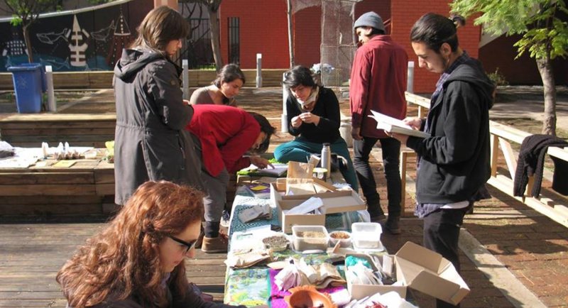 Escuela de Arquitectura del Paisaje realiza actividad abierta para promover el conocimiento y la reproducción de especies nativas