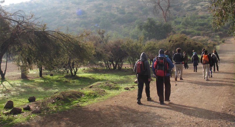 Escuela de Arquitectura del Paisaje promueve actividad abierta para conocer flora de la Quebrada de Macul