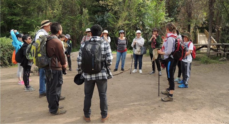 Arquitectura del Paisaje y Escuela Itinerante realizan actividad de reconocimiento de flora nativa en la precordillera