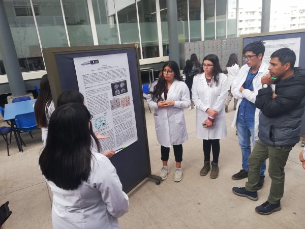 Estudiantes de Nutrición y Dietética exponen a la comunidad universitaria trabajos sobre la morfología humana