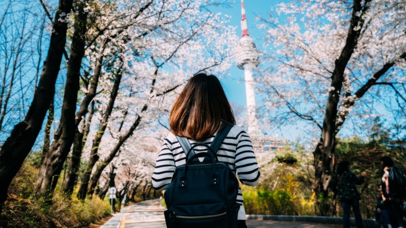 Estudiante del Diplomado en Idioma Coreano es seleccionada en Summer Program en Corea