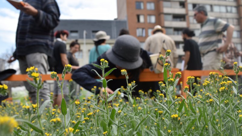 Valores de la biodiversidad: campaña del Jardín Biodiverso donde participó la comunidad