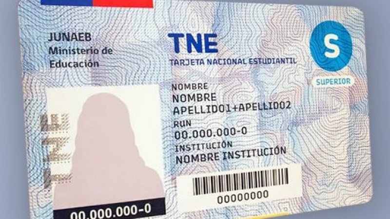 Proceso de Revalidación TNE 2020