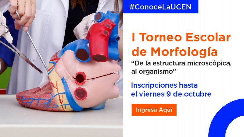 Te invitamos al primer Torneo Escolar de Morfología