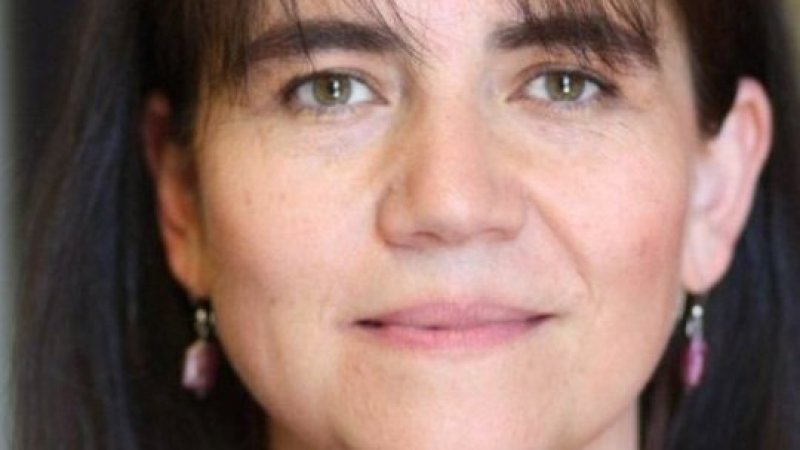 Carabineros de Chile: condiciones de posibilidad para una reforma urgente /Columna Profesora Paula Medina