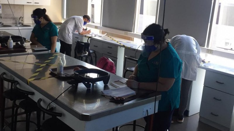 Terapia Ocupacional vuelve a laboratorios de Ortótica