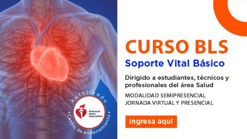 Curso BLS/SVB Soporte Vital Básico noviembre