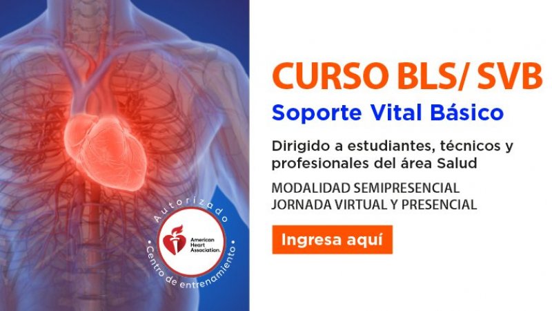 Curso BLS/SVB Soporte Vital Básico diciembre