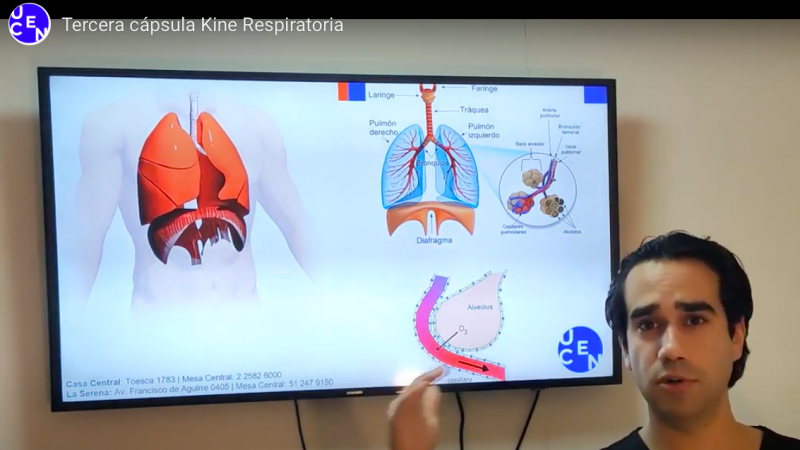 Conoce acerca de la Kinesiología Respiratoria