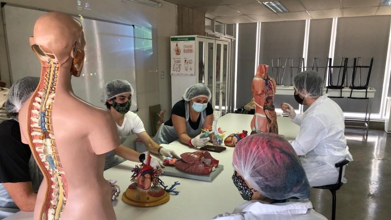 Estudiantes de Kinesiología finalizan el año con actividades presenciales