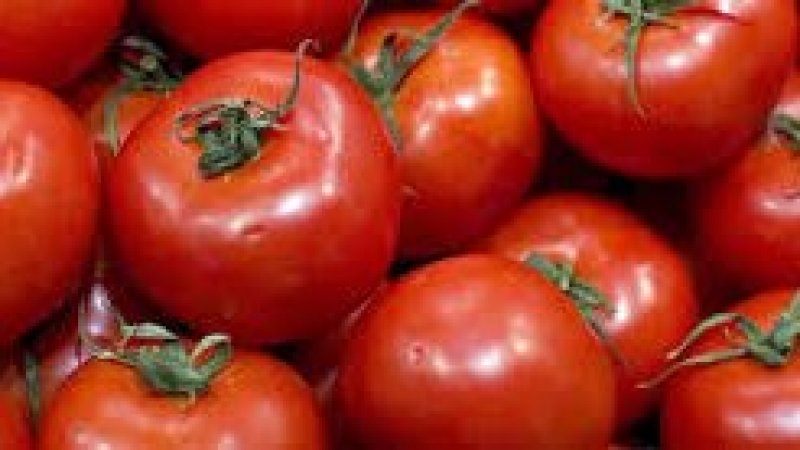 ¿Cómo conservar los tomates sin que se pudran?
