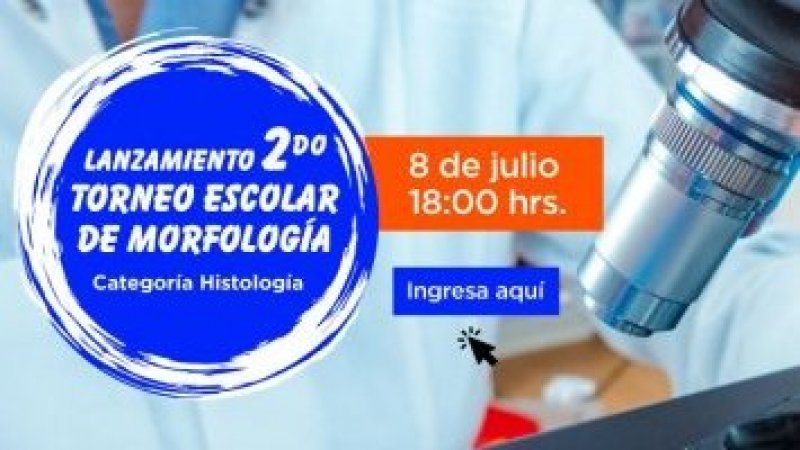 Te esperamos al Lanzamiento del 2º Torneo de Morfología, Categoría Histología