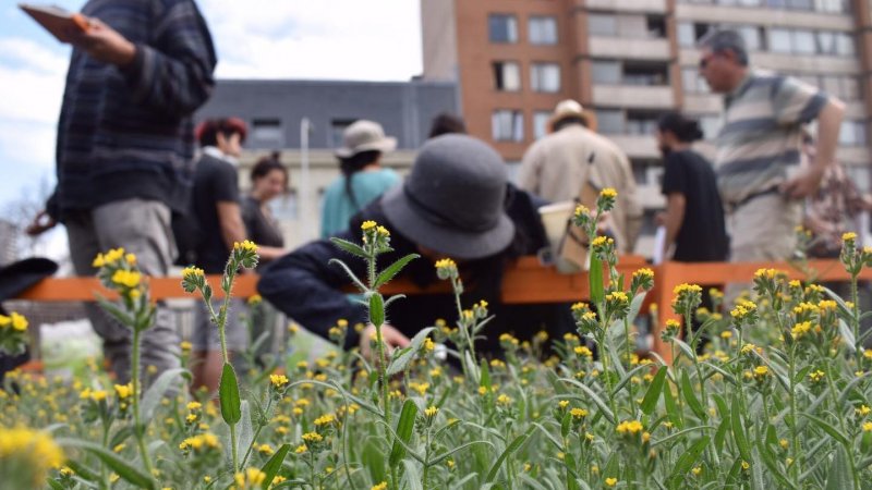 Conoce todas las actividades del primer semestre realizadas por Proyecto Jardín Biodiverso de Finarq