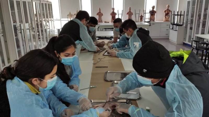 Estudiantes de Kinesiología comienzan el segundo semestre 2021 con actividades presenciales de Laboratorio