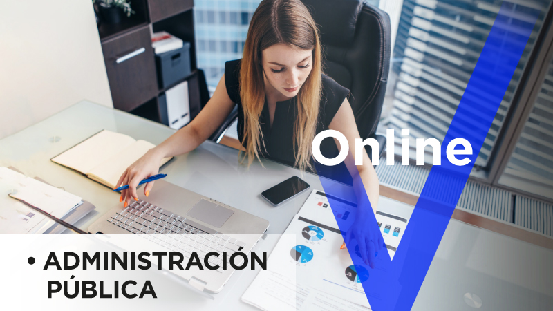 Administración Pública on-line