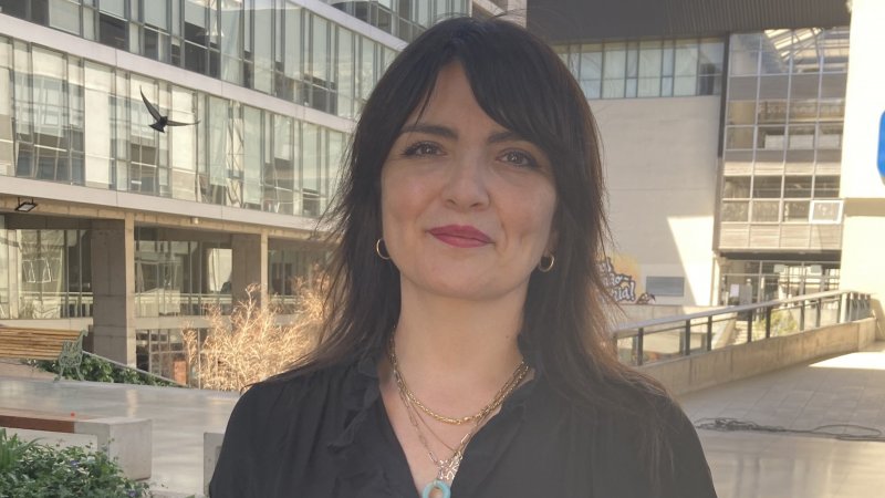 Profesora Sara Moreno se adjudica fondos internos del Instituto de Investigación y Postgrado FACDEH