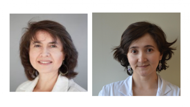Académica Amparo Muñoz y Carolina Pezoa realizan publicación en destacada revista Nursing Ethics