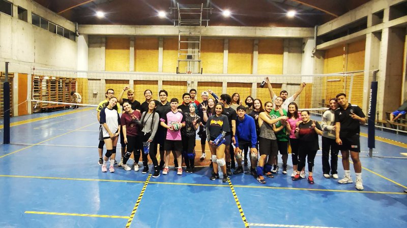 Campeonato del taller de voleibol mixto