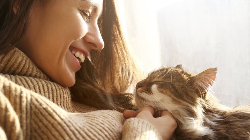Beneficios de las mascotas y animales a la salud mental