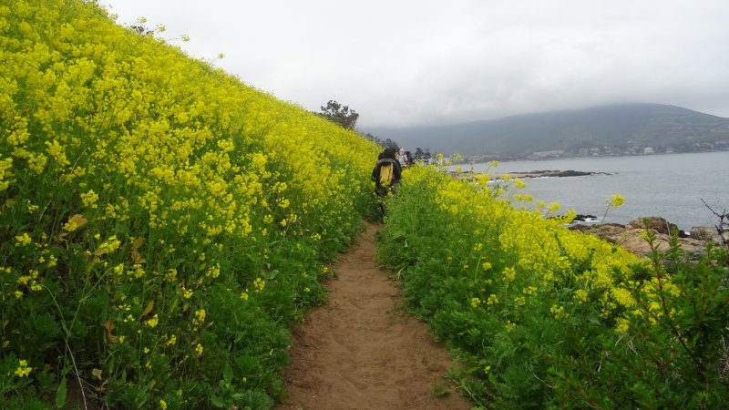 Con más de 200 asistentes por día se realizó Congreso de Flora Nativa en la UCEN