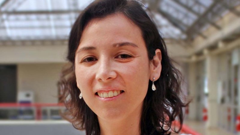 Doctora Daniela Brizuela es la nueva directora de Ingeniería Civil en Obras Civiles e Ingeniería en Construcción