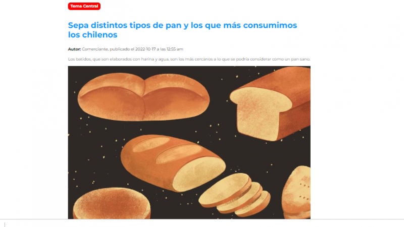 Los distintos pan y los que más consumimos los chilenos