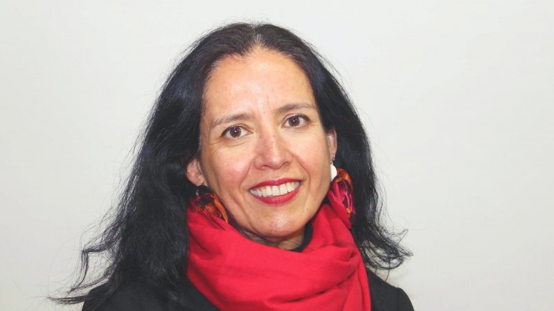 Viviana Rivera, fonoaudióloga y académica FECS: “El 170 es más que un número”