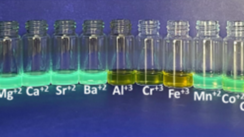 Fluorescent chemosensors and their possible application for the diagnosis of Parkinson's disease