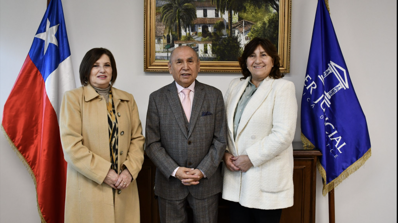 Profesora María Alejandra Rojas juró como ministra suplente de la Corte de Apelaciones de San Miguel