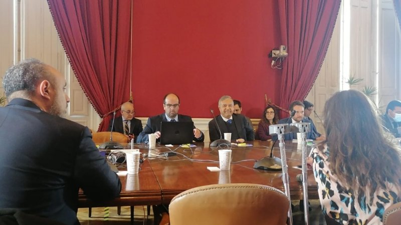Profesor Santiago Zárate expone en comisión en el Senado