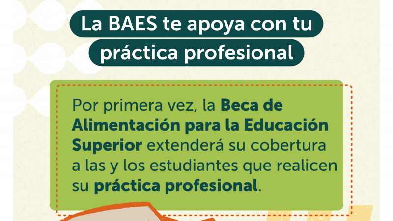 Beca de Alimentación para la Educación Superior (BAES) para estudiantes en Práctica Profesional