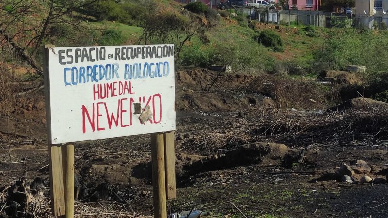 Doctorado en Estudios Sociales Avanzados explora las Intersecciones entre territorio, habitar y sociedad