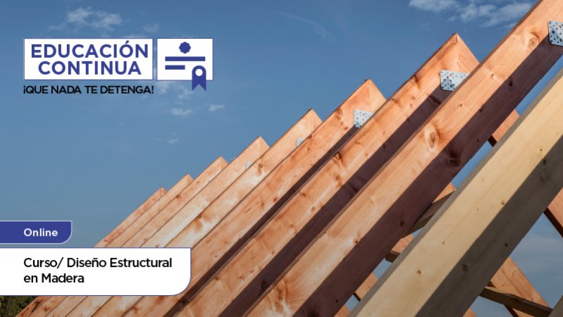 Curso Diseño Estructural en Madera