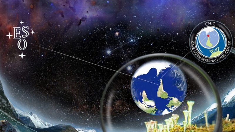 Del cielo a la tierra con sello Finarq: conoce la exposición virtual que mezcla biodiversidad, astronomía, ciencias y arte