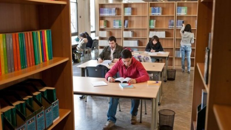 Revisa la primera publicación de resultados de Beneficios Estudiantiles (Becas y gratuidad) 2024