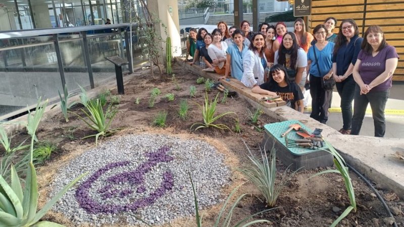 Arquitectura del Paisaje junto a la Unidad de Género y Diversidad crean la Plaza Feminista