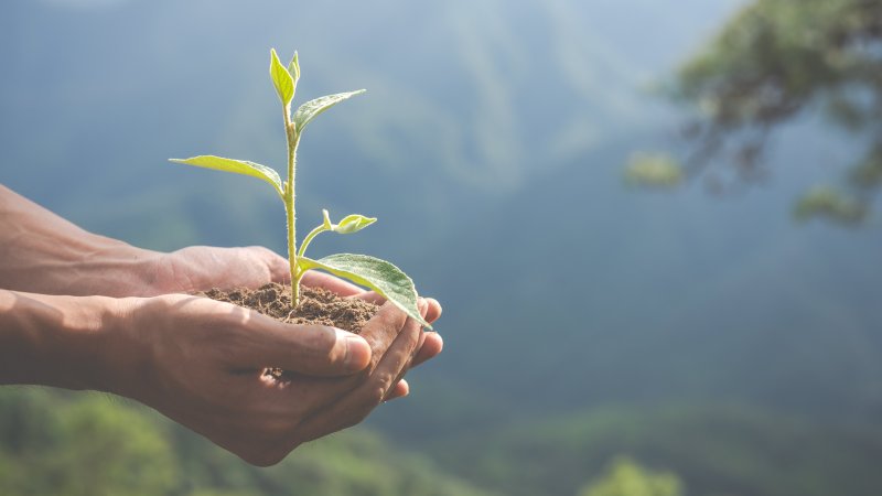 La tierra; el único planeta que tenemos para vivir