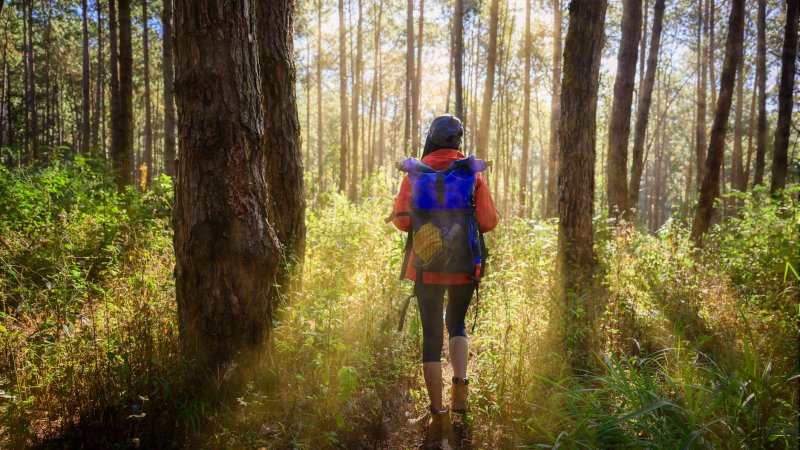 Moverse más: clave para cuidar tu salud mental